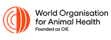 타이틀